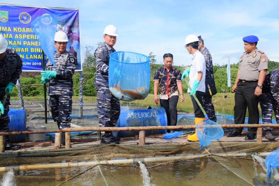 Pangkoarmada I Pimpin Panen Raya Budidaya Ikan serentak Se-Koarmada I