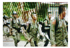 Tersambar Petir, 3 dari 8 Peserta Didik Brimob Watukosek Tewas
