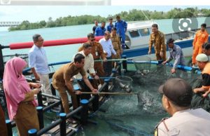 Masyarakat Nelayan Sambut Baik Rencana Pemprov Kepri Realisasi Budidaya Hasil Laut