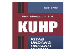 Kritik Bukan Penghinaan Dalam KUHP Baru Tak Bakal Dipidana