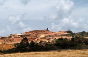 Korporasi Perambah Hutan Di Bintan Menggila, Hutan Bukit Setinggi 35 Meter Habis Dikeruk