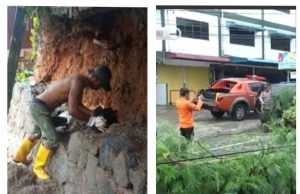 Respon Cepat Walikota Rahma Tanggapi Kejadian Bencana Tanah Longsor dan Pohon Tumbang
